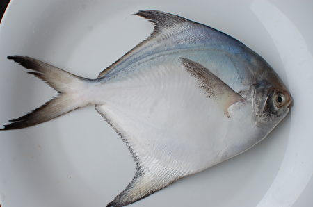 鯧魚（Butterfish）因「昌」的吉祥命名而成為明星魚種。