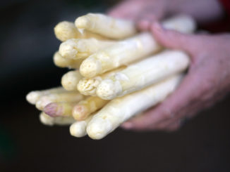 在德国，一年中只有三个月能吃到新鲜芦笋。（Johannes Simon/Getty Images）