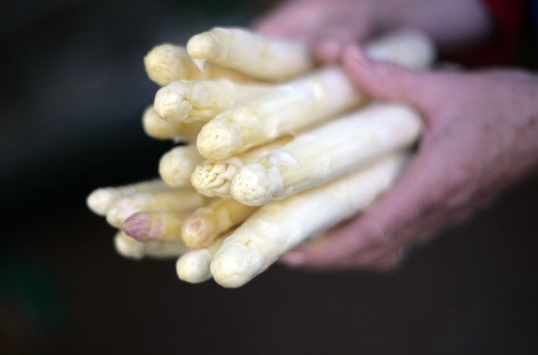 在德國，一年中只有三個月能吃到新鮮蘆筍。（Johannes Simon/Getty Images）