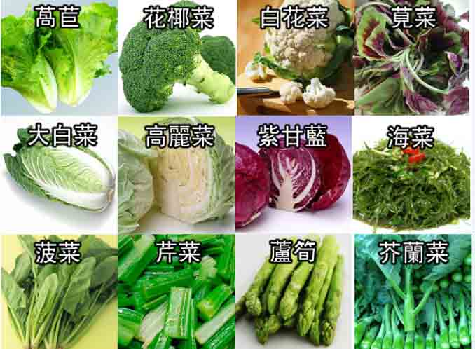 图为含有维生素K的蔬菜。(网路图片)