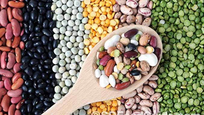 有多种营养又好味的杂粮，如黑豆、糙米等，可为健康膳食锦上添花。（网络图片）