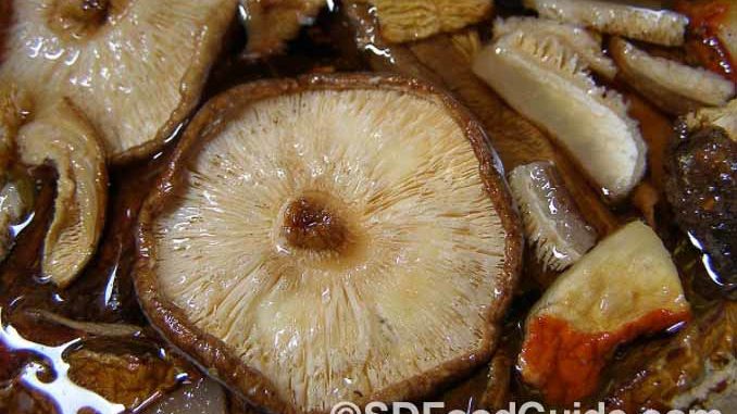 在泡發乾香菇時，最好使用25°C～35°C的溫水，這樣既能使干香菇更容易吸水變軟，又能保存其中的鮮味。（pixabay.com）
