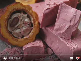 瑞士百樂嘉利寶公司正式推出擁有全新口味的粉紅色巧克力。（視頻擷圖）