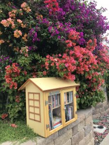 Little Free Library